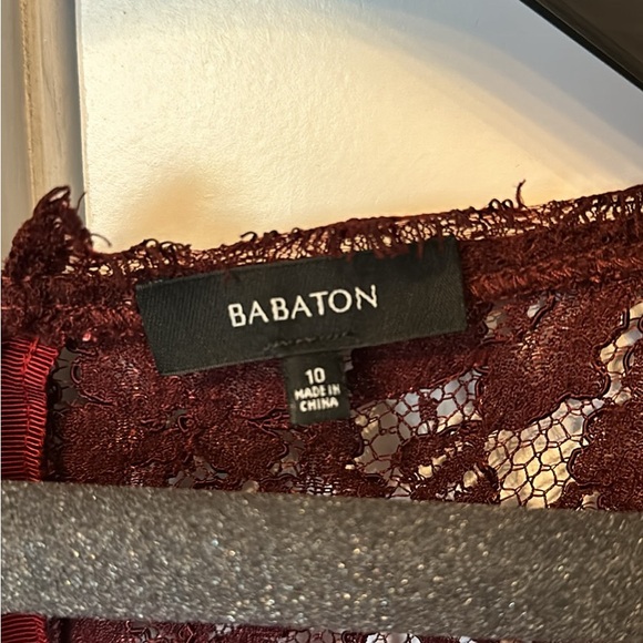 Aritzia Babaton Tobias Lace Dress - Picture 3 of 3